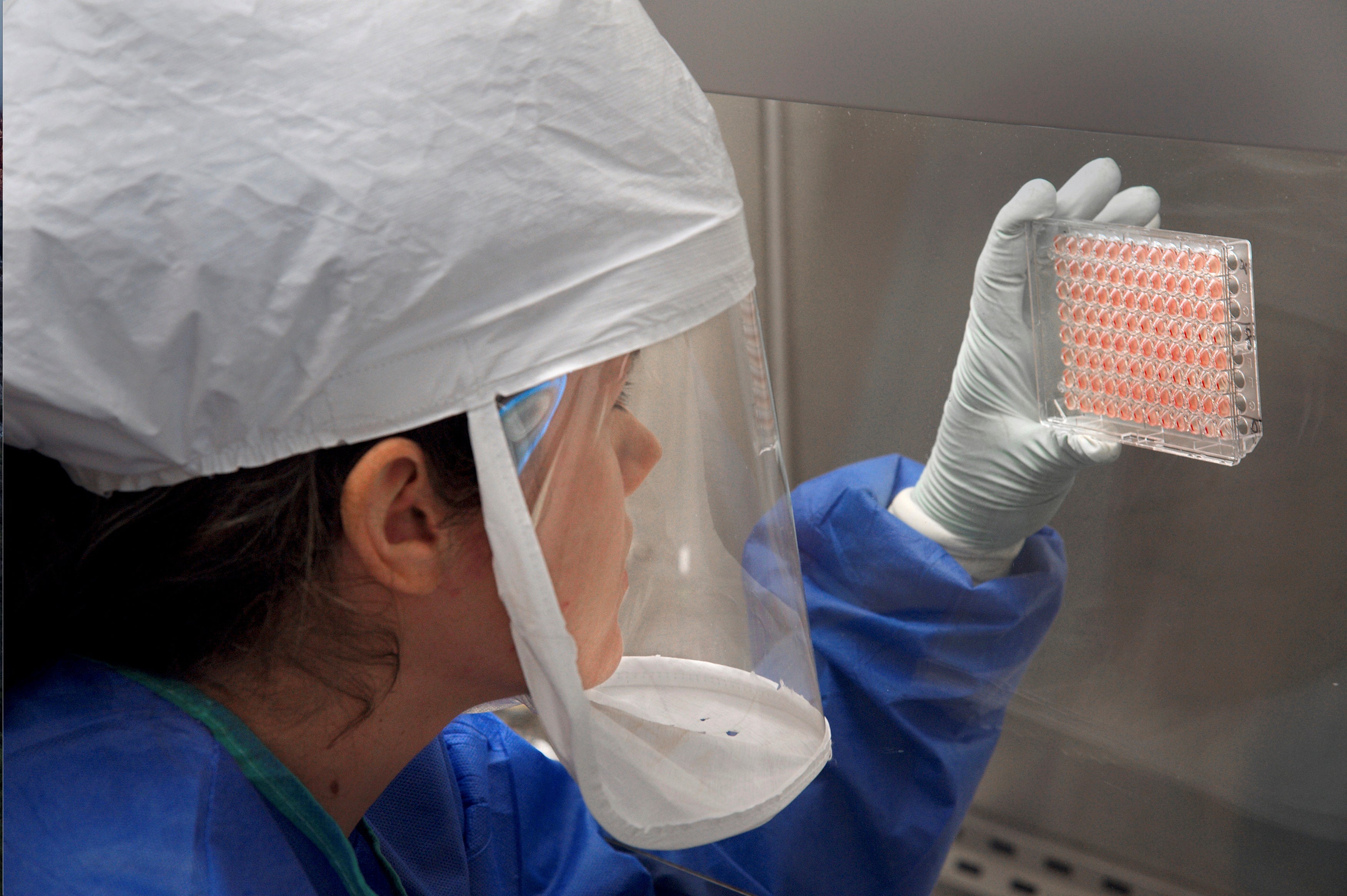 US reports first outbreak of deadly H7N9 bird flu since 2017, amid separate bird flu strain outbreak