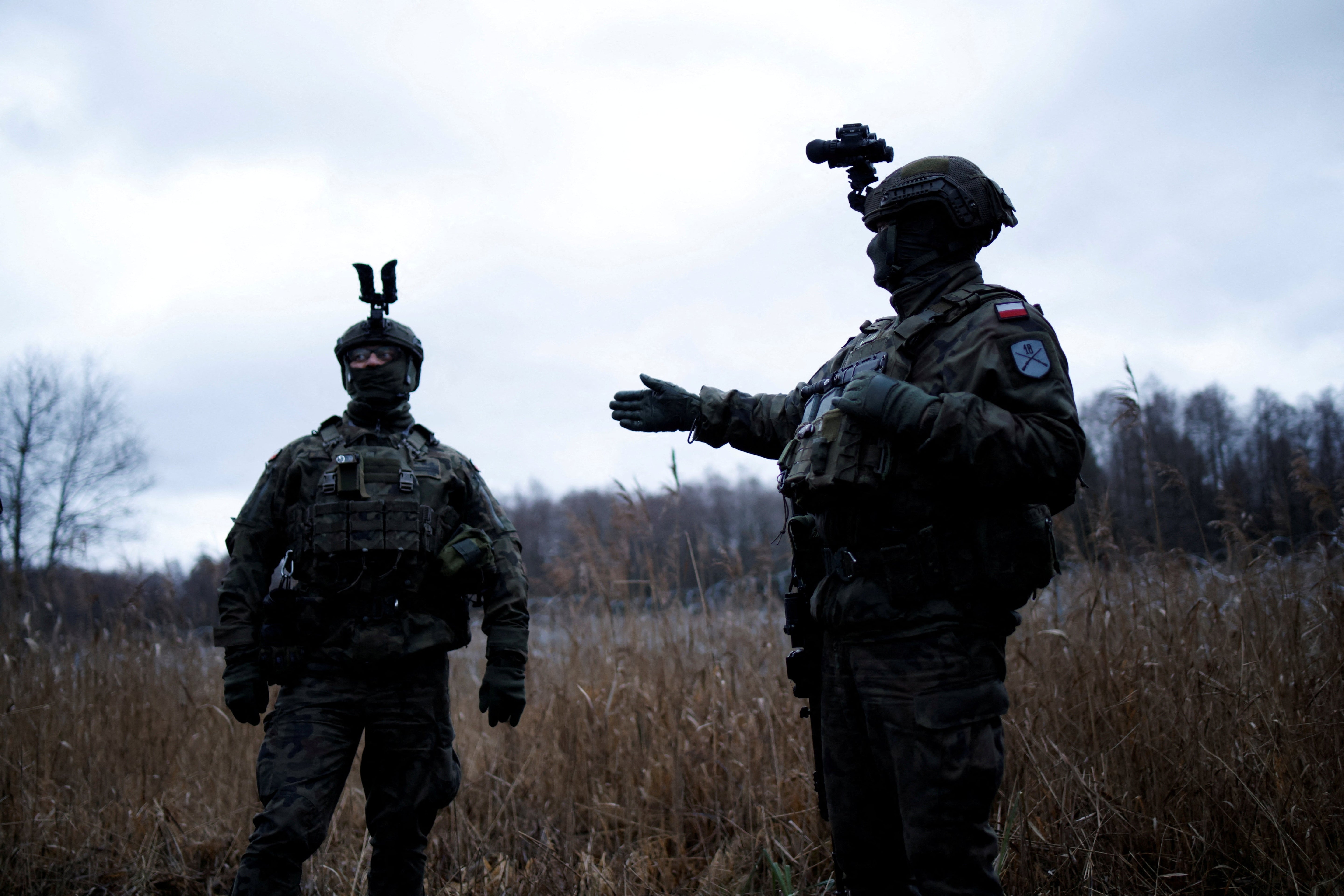 Poland seeks to resume production of anti-personnel mines, minister says