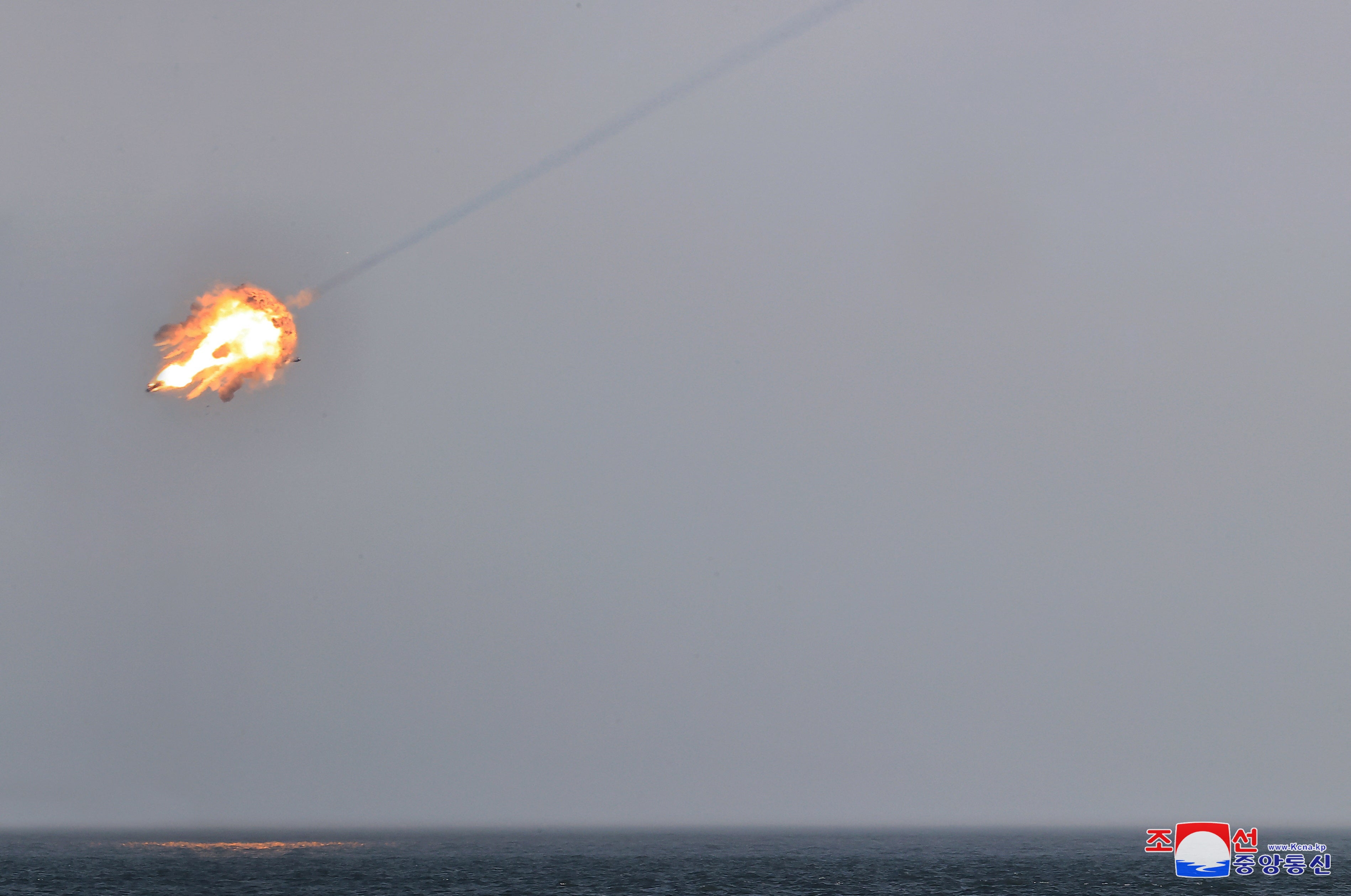 North Korea's Kim oversees test-fire of surface-to-air missiles