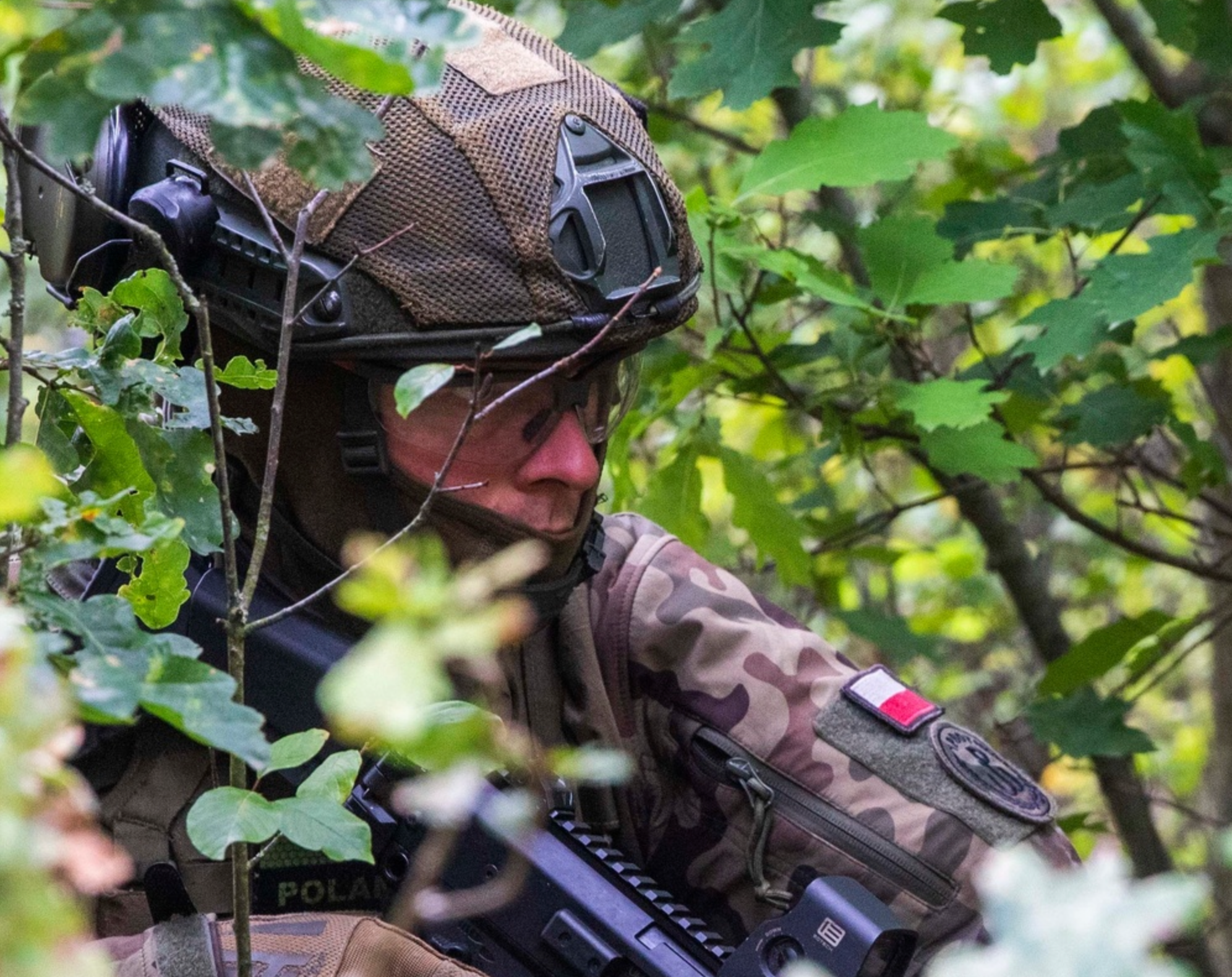 A soldier assigned to the Polish 1st Brigade Territorial Defense Forces seeks concealment in the wood prior to conducting a simulated assault