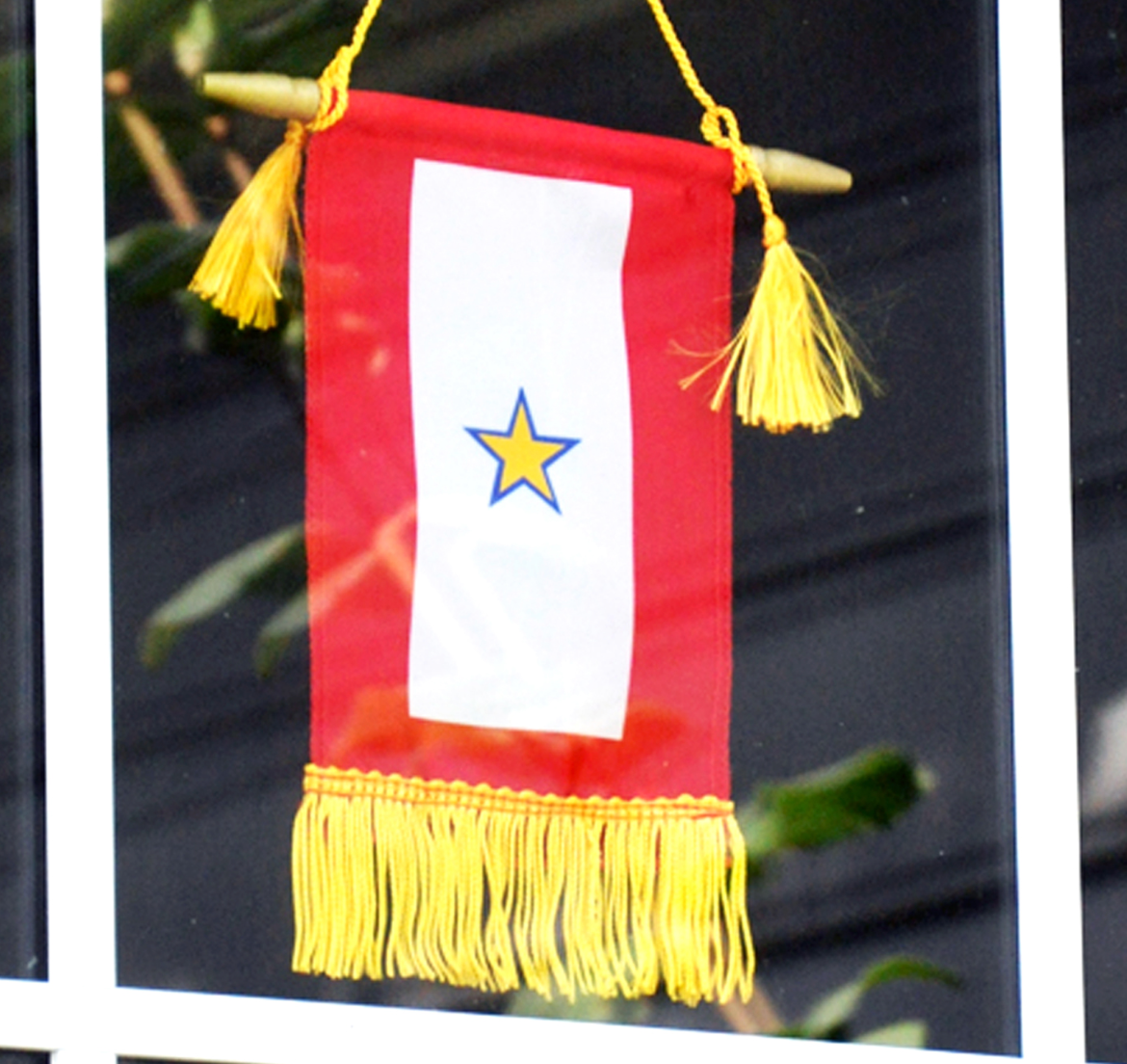 Former US Army staffer pleads guilty to defrauding Gold Star families