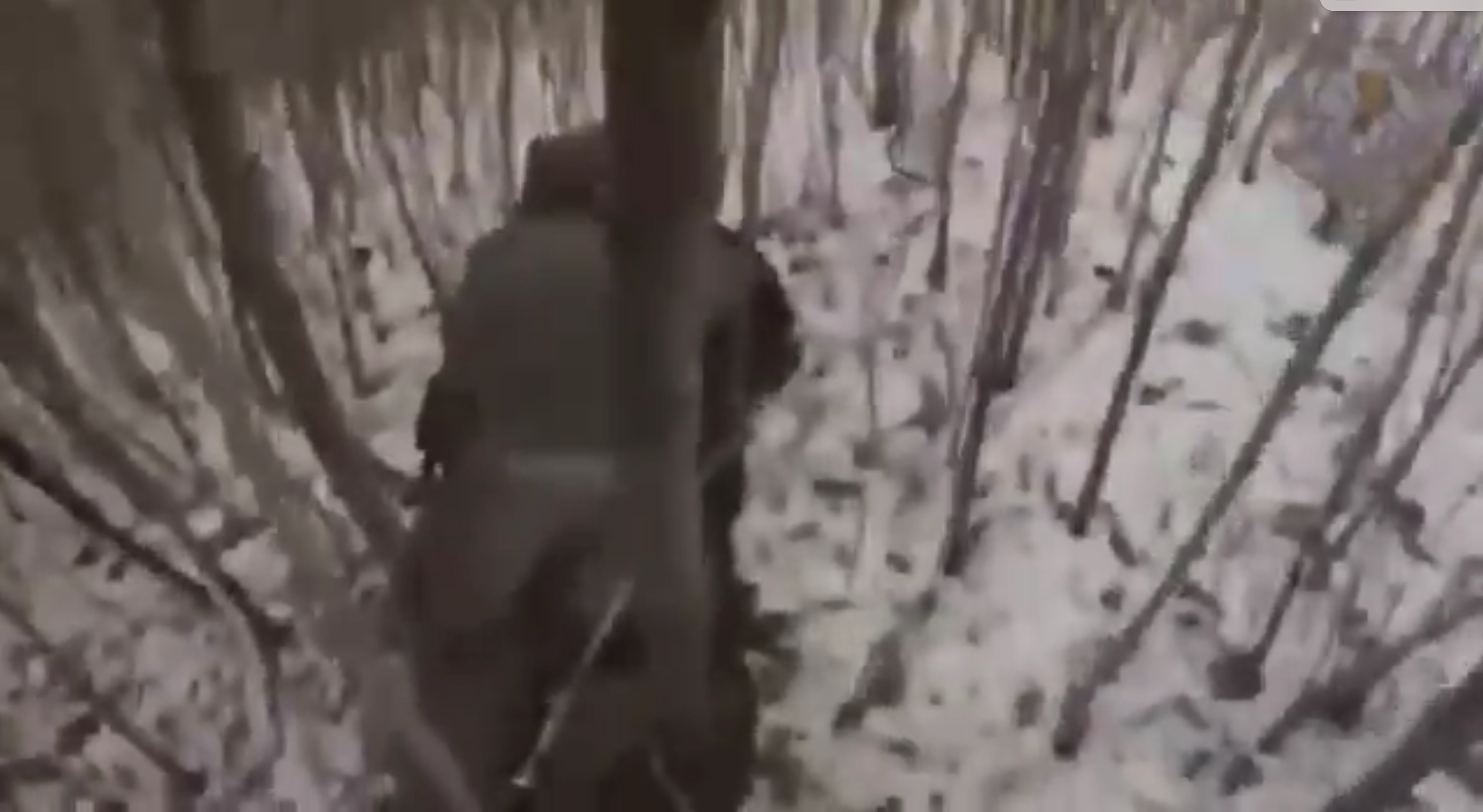 Analysts say North Korean troops ordered to commit suicide before capture as video surfaces online