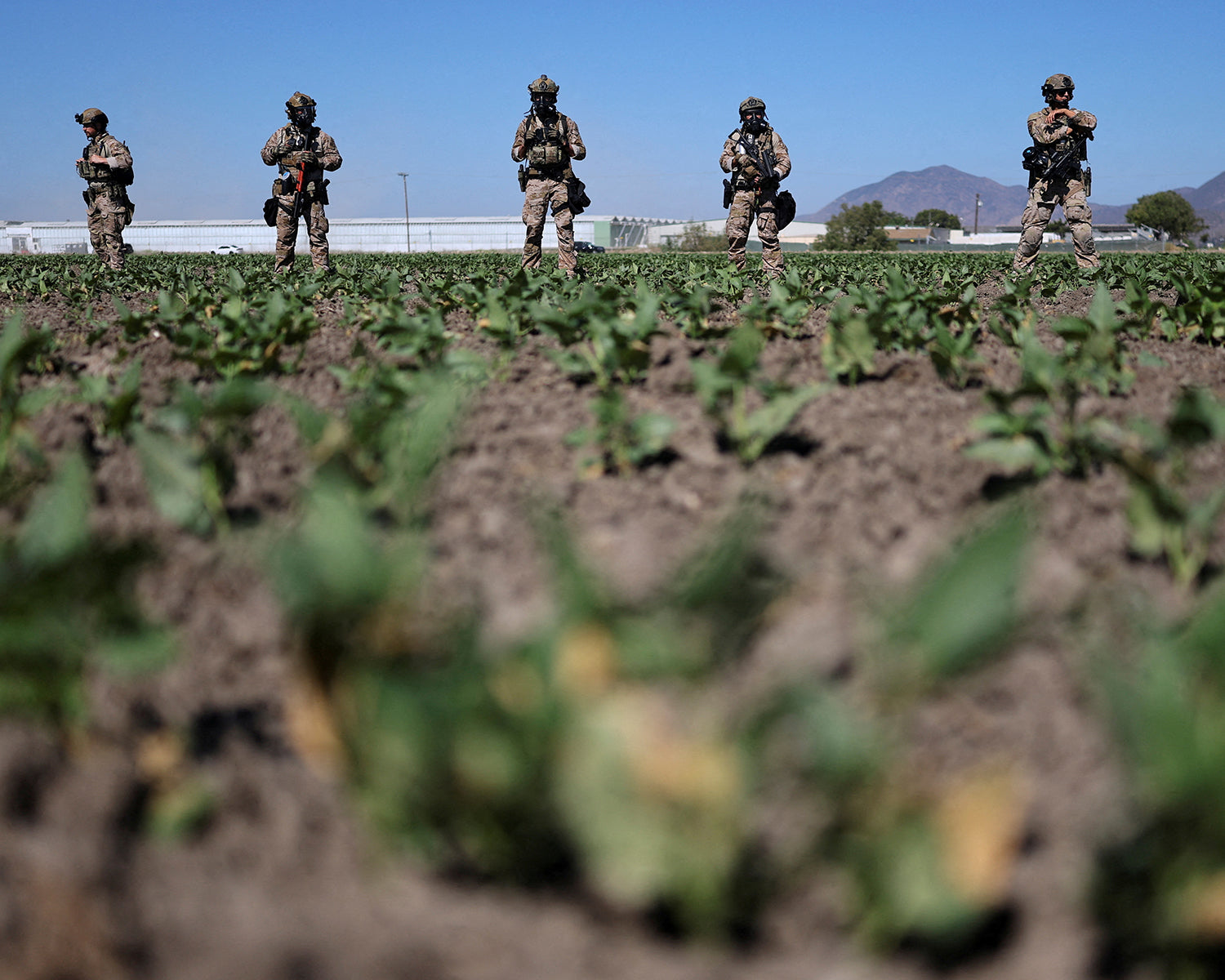 Feds defend immigration tactics after California worker death