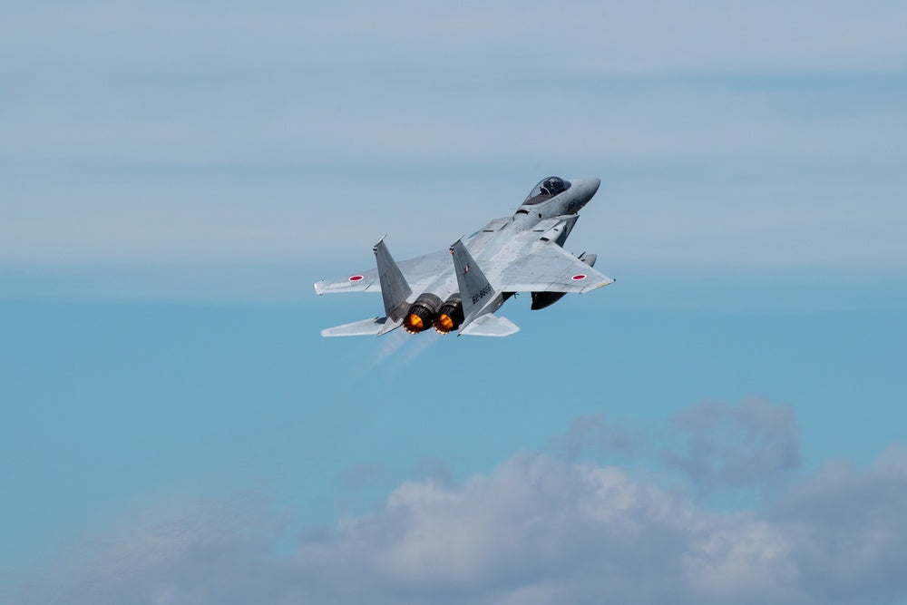 A Japan Air Self-Defense Force F-15J Eagle assigned to the 201st Tactical Fighter Squadron
