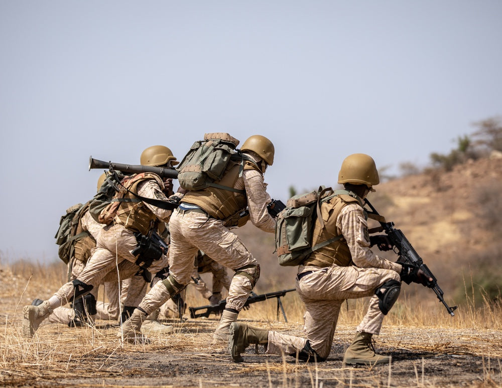 Mali, Niger and Burkina Faso juntas sign Sahel security pact