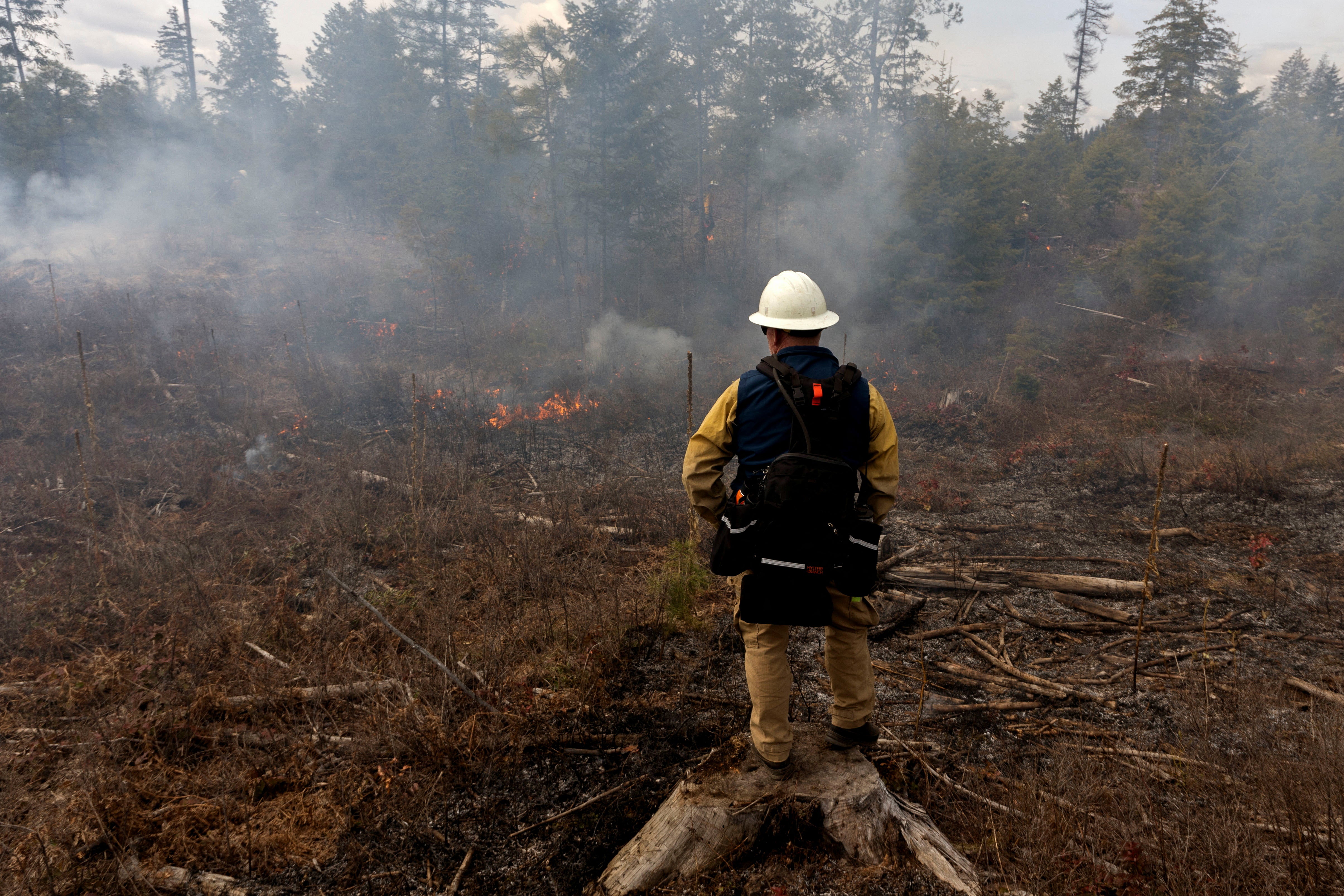 West Coast races to reduce wildfire risk ahead of summer