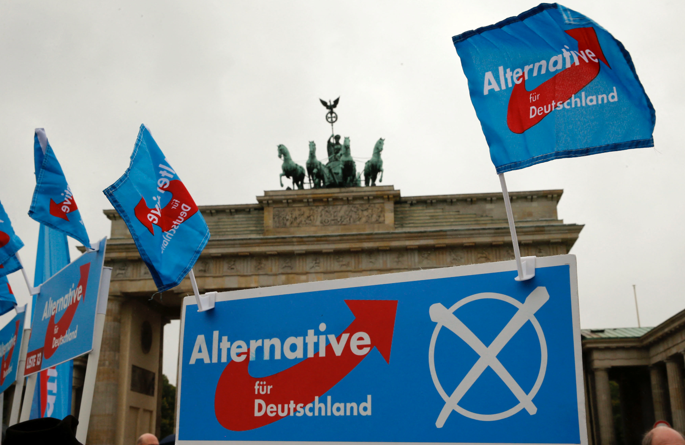 European Parliament's far-right group expels Germany's AfD after SS remark