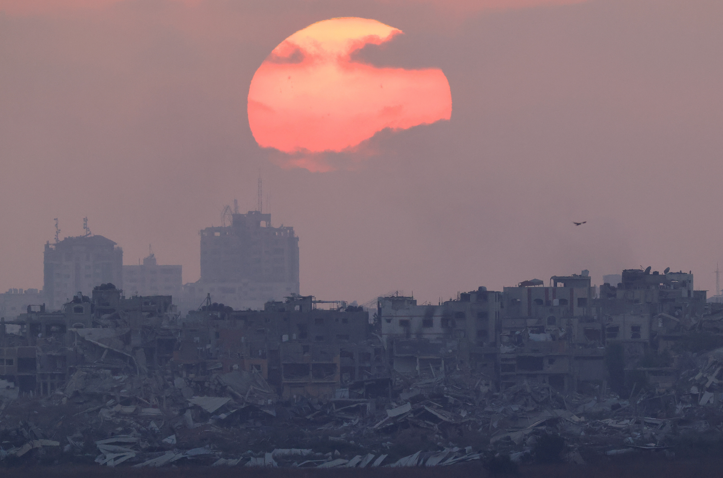 Bodies of eight Red Crescent medics recovered in Gaza, one still missing