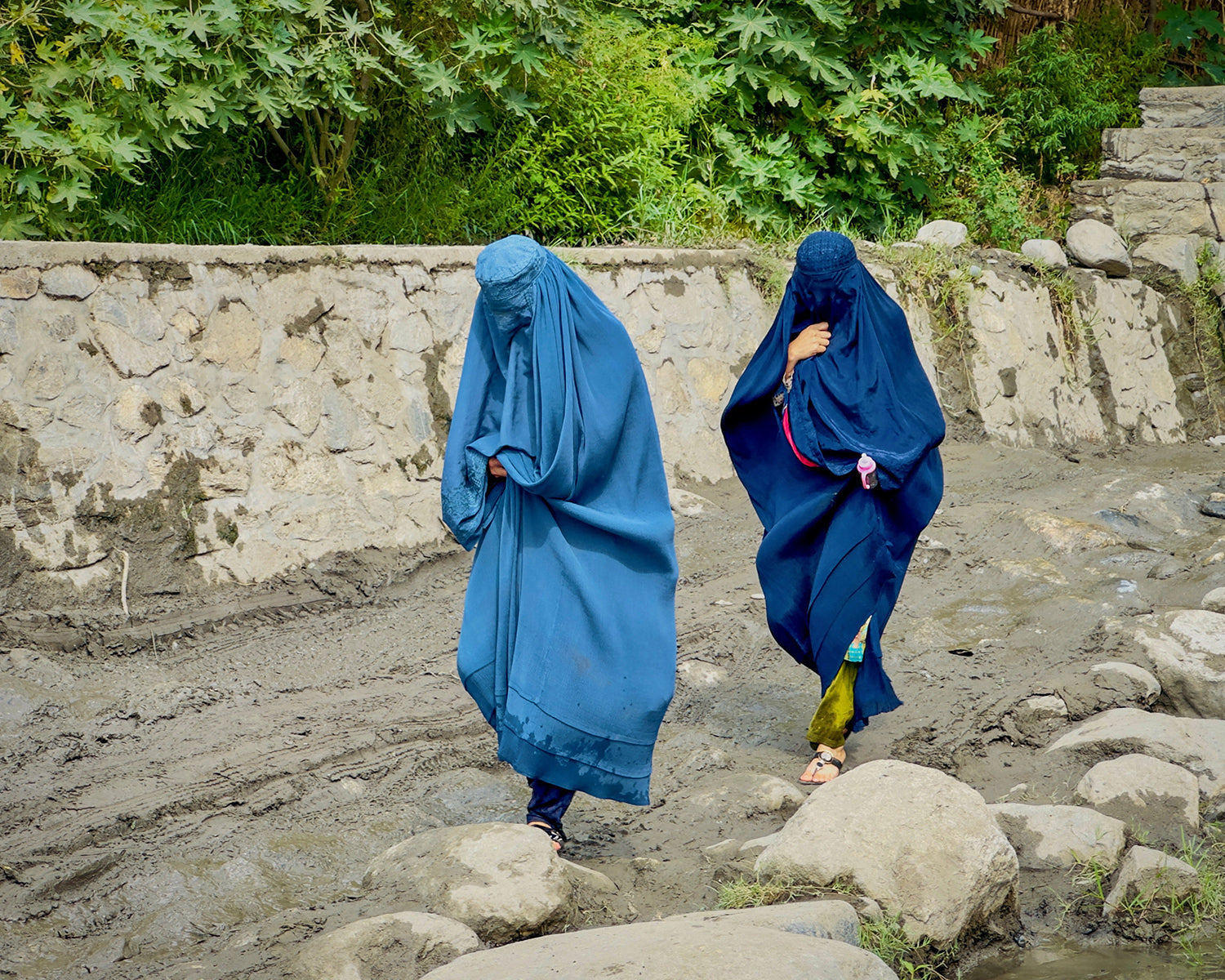 WHO asks Taliban to lift female aid worker restrictions following earthquakes