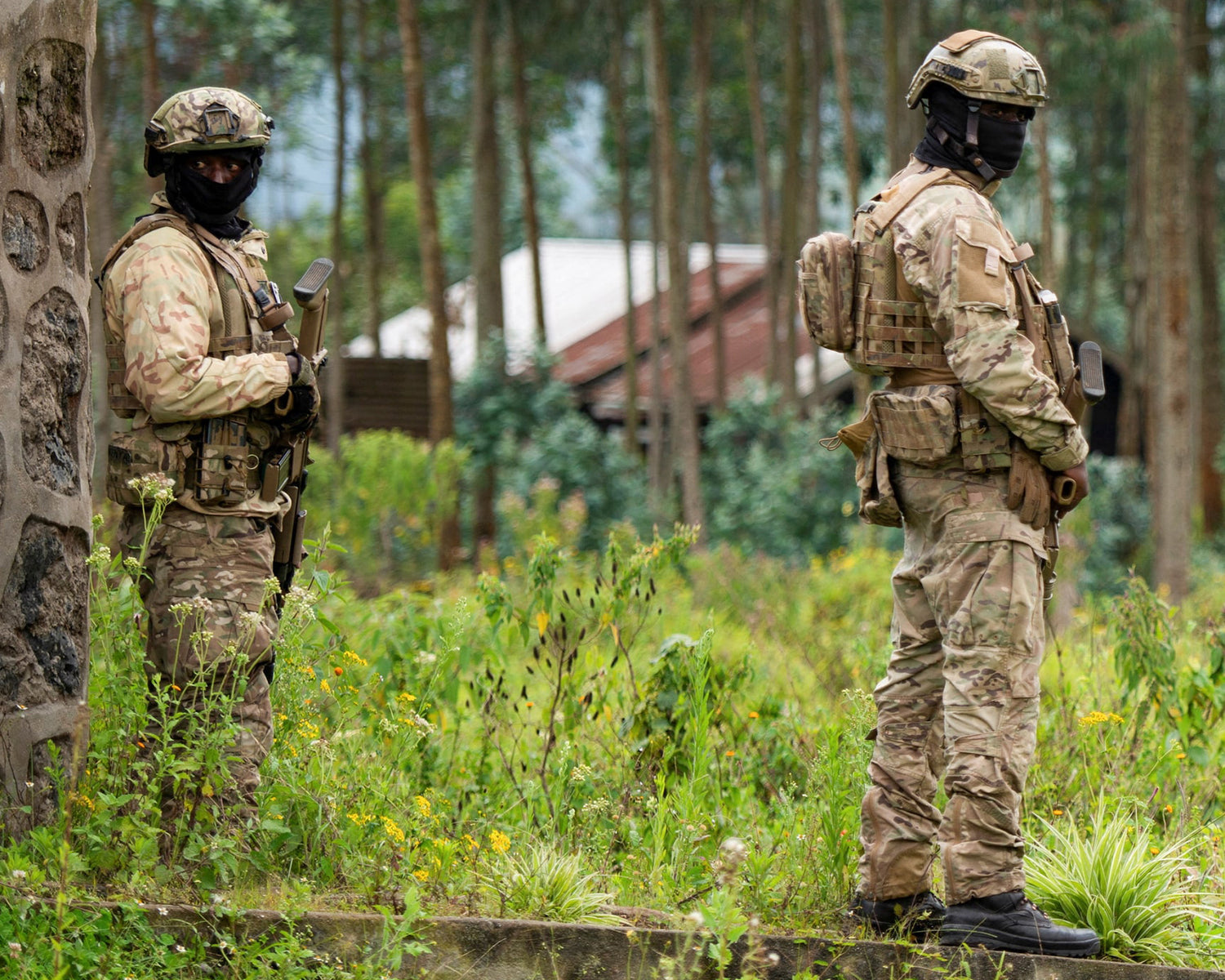 Congo and Rwanda submit draft peace proposal, US official says