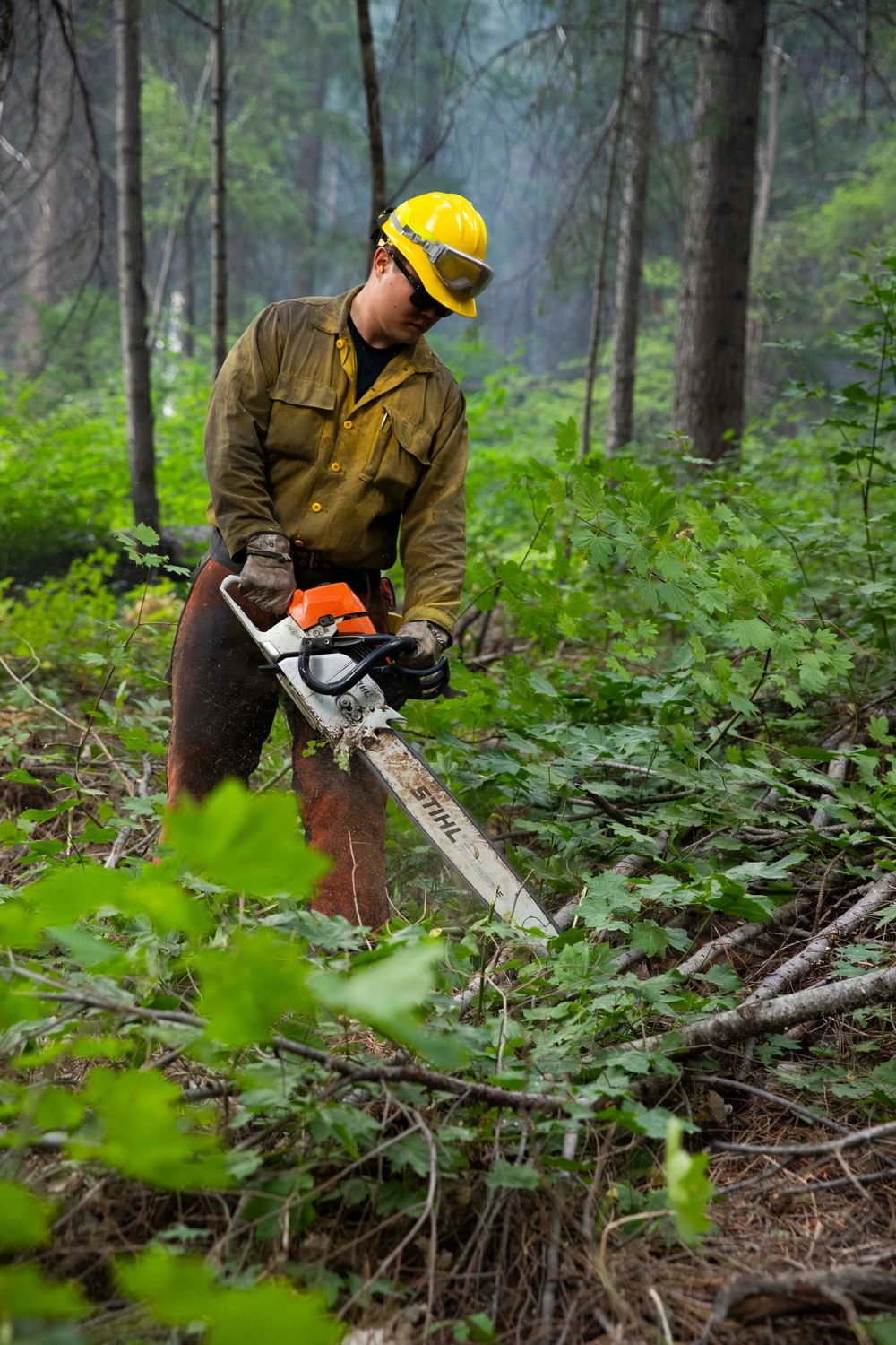 An active-duty Army soldier assigned to 1st Battalion, 23rd Infantry Regiment, 7th Infantry Division, uses a chainsaw to clear brush from a contingency fireline on the Little Giant Fire near Plain, Washington, Aug. 22, 2026.