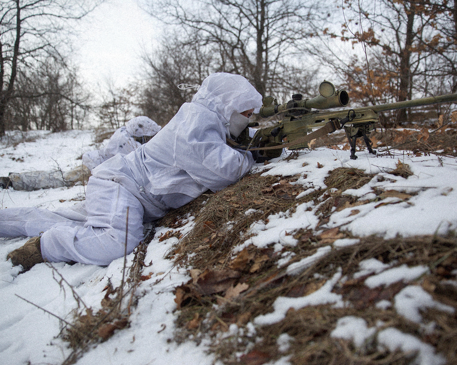 Ukraine drops NATO goal as Trump envoy sees progress in peace talks